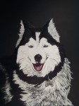 Ink, Arylic and Scratchbord Black Pet Portrait