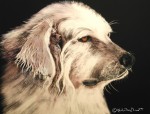 Realism: Ink and Scratcbord Black Pet Portrait