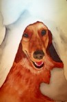 Watercolor Pet Portrait