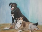 Watercolor Pet Portrait